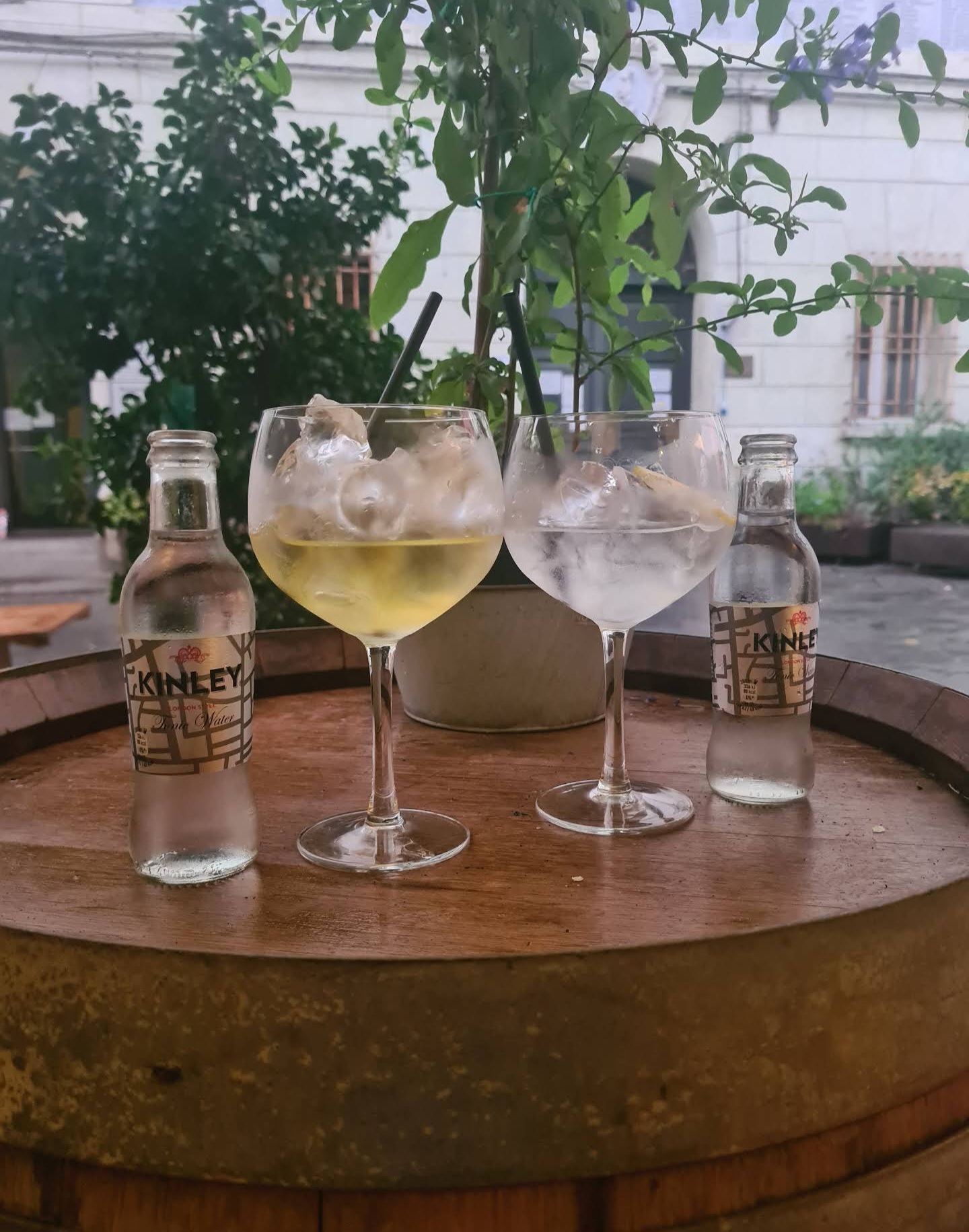 Gin tonic artigianali